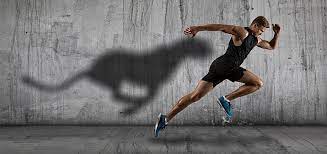 sporten